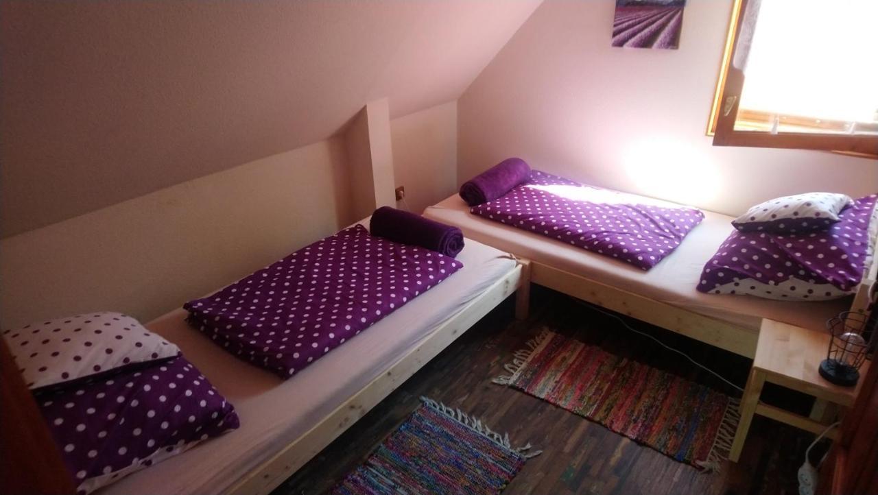 Vila Relax Ii. Vendeghaz Dunapataj Exteriér fotografie