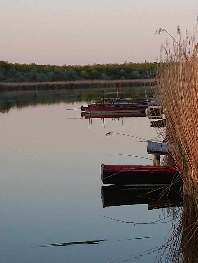 Vila Relax Ii. Vendeghaz Dunapataj Exteriér fotografie